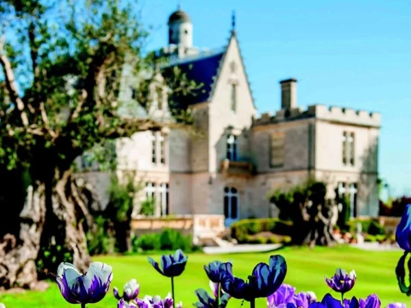 Perfect Day:City Highlights and Wine country