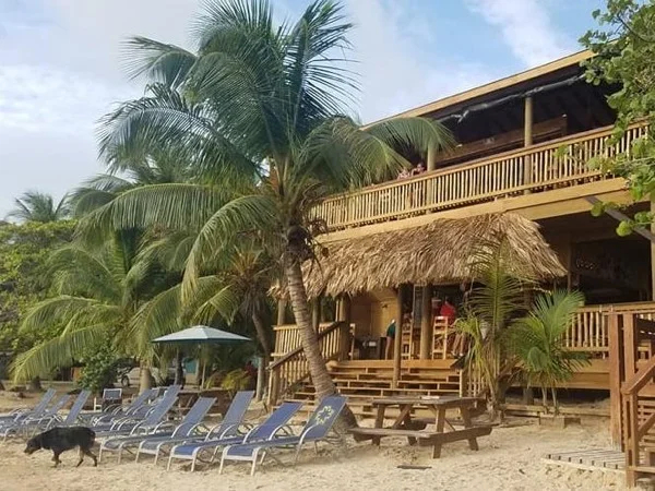 Roatán Highlight Tour