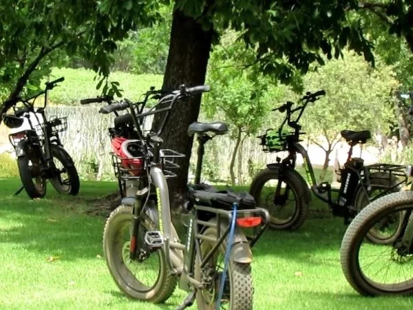Ebike Wine Safari