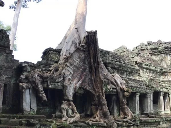 Countryside And Angkor Wat 5 Day Tour