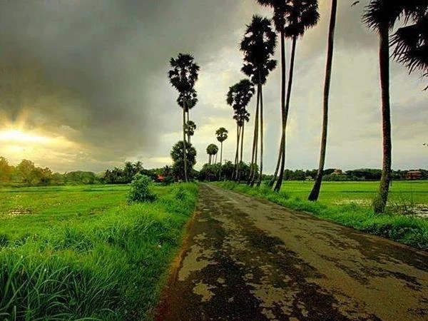 Rural Angkor Wat Tour 7 days