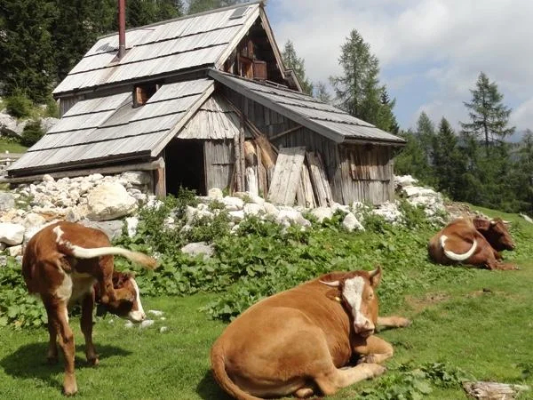 Triglav seven lakes valley