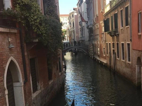 Full Day Immersion In Venice !