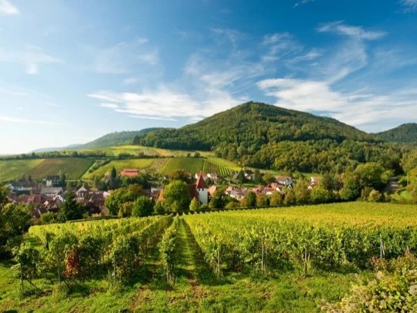 Experience the wonders of Alsace in Style.