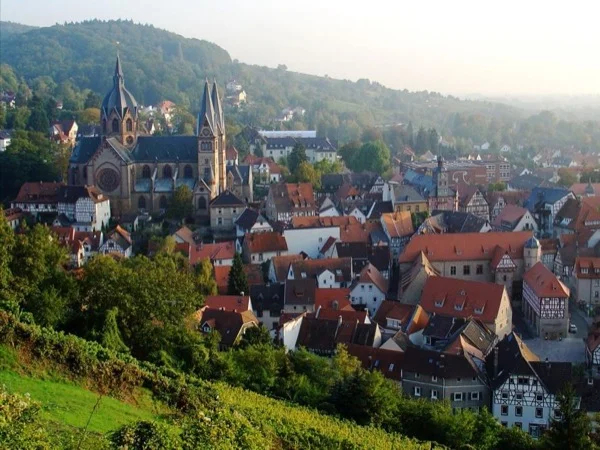 Tour the beautiful Bergstrasse & Odenwald Forest.