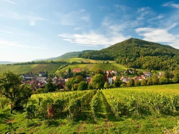 Two day trip to Strasbourg, Colmar & beautiful Alsace villages & countryside.