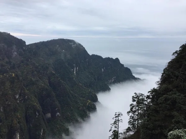 Leshan Giant Buddha and Mt. Emei 2 Days Private tour