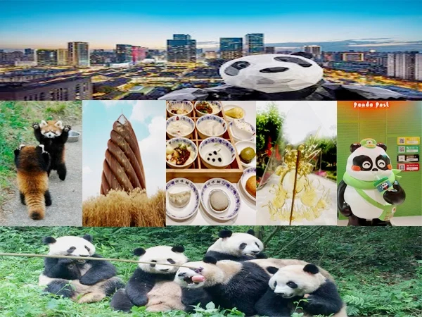 Panda Day Private Tour
