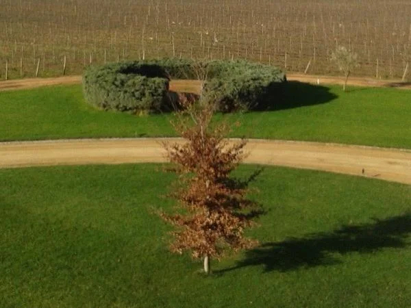 Maipo valley wine tour