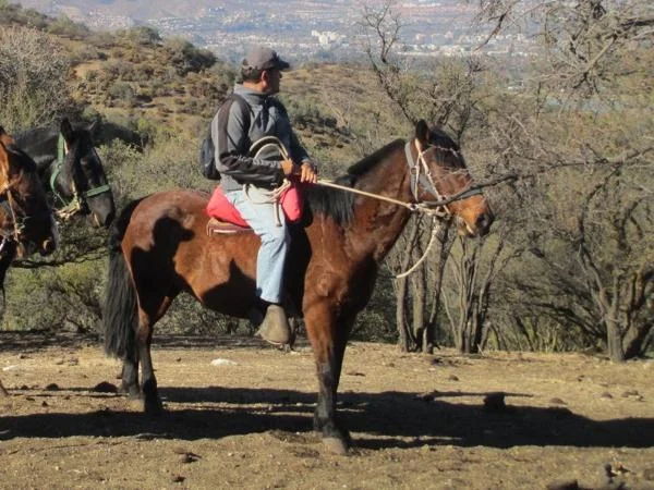 Horseback riding the Andes Mountains Tour