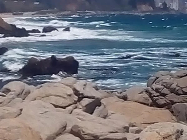 Valparaiso, Viña del Mar & Wine Tour
