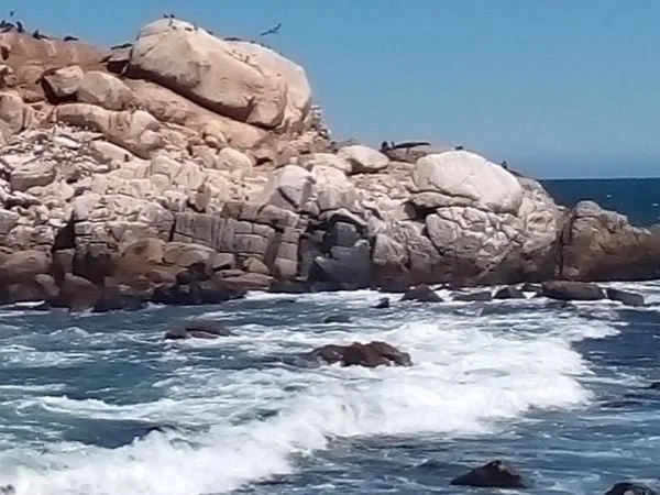 Valparaiso and Viña del Mar Wonderful Tour