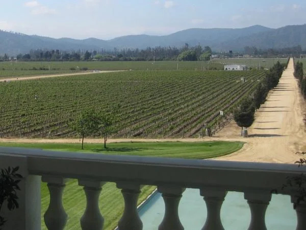 Colchagua Valley Wine Tour