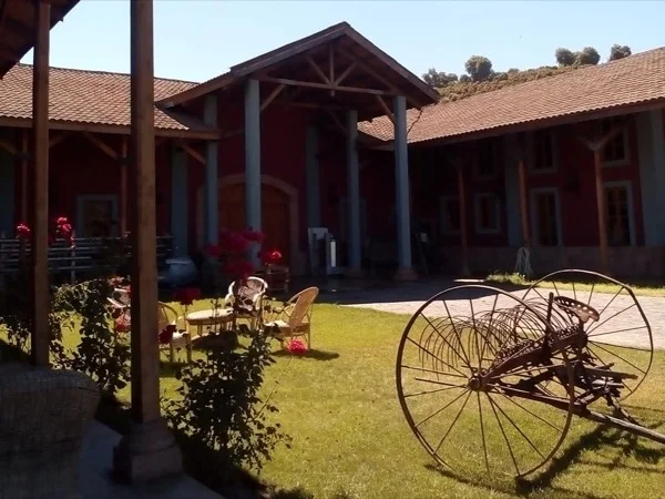 Aconcagua Valley Wine Tour