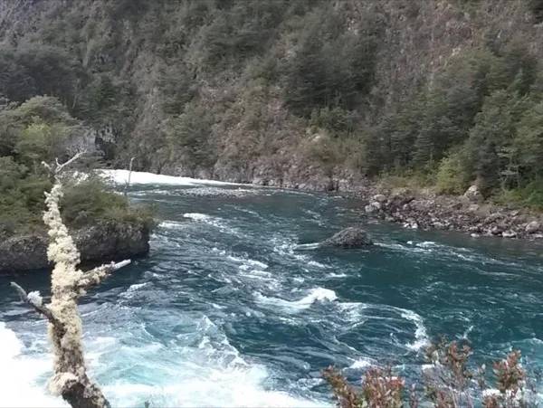Pengüins and Chile's Most Beautiful Central Coast