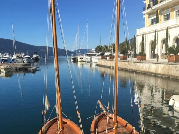 Montenegro Shore Excursion - Half Day Private Tour