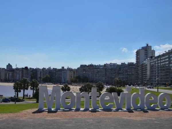 Cover media image