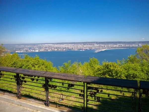 Cover media image