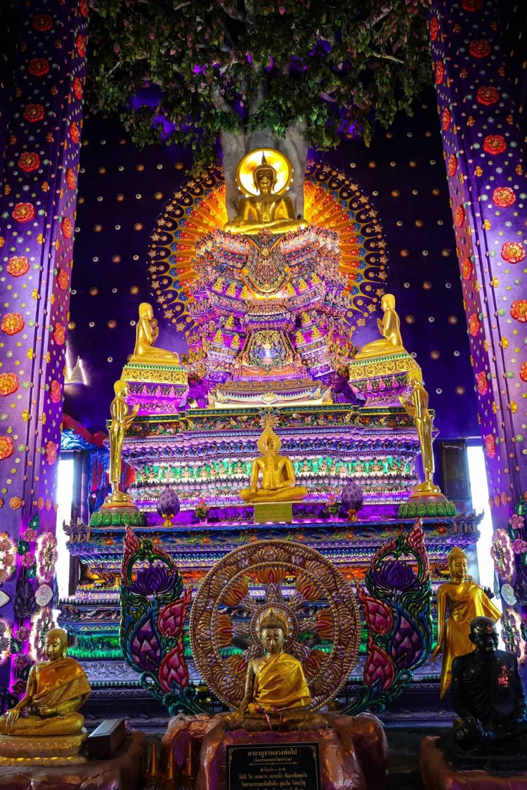 Cover media image