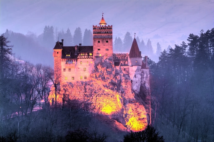 Cover media image