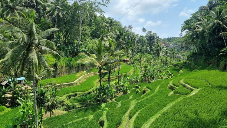 Cover media image