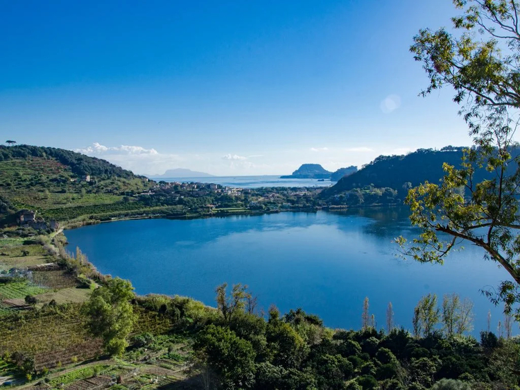 Cover media image