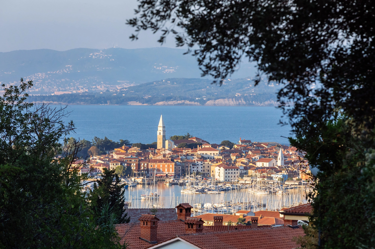 Cover media image