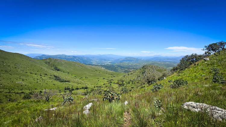 Cover media image