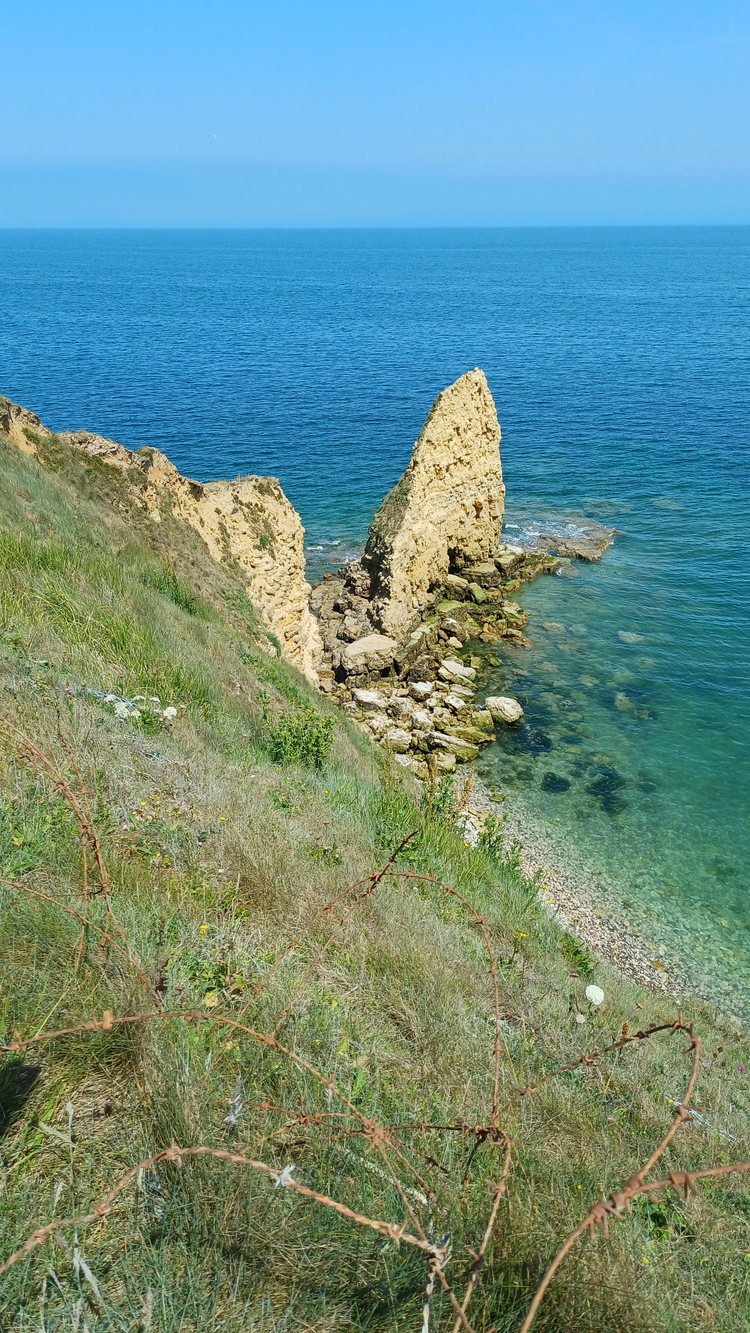 Cover media image