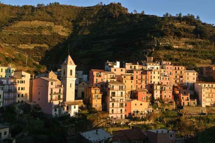 Cover media image