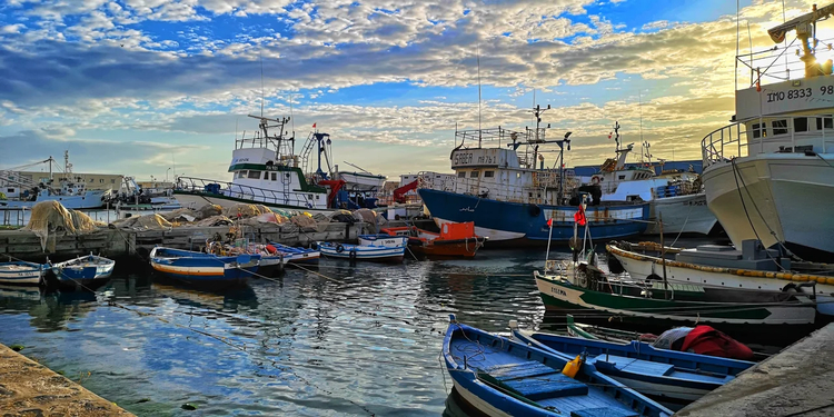 Cover media image
