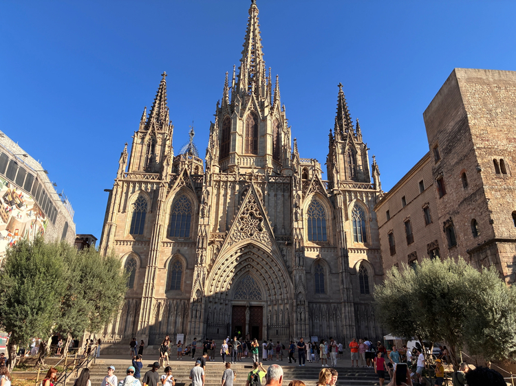 Cover media image