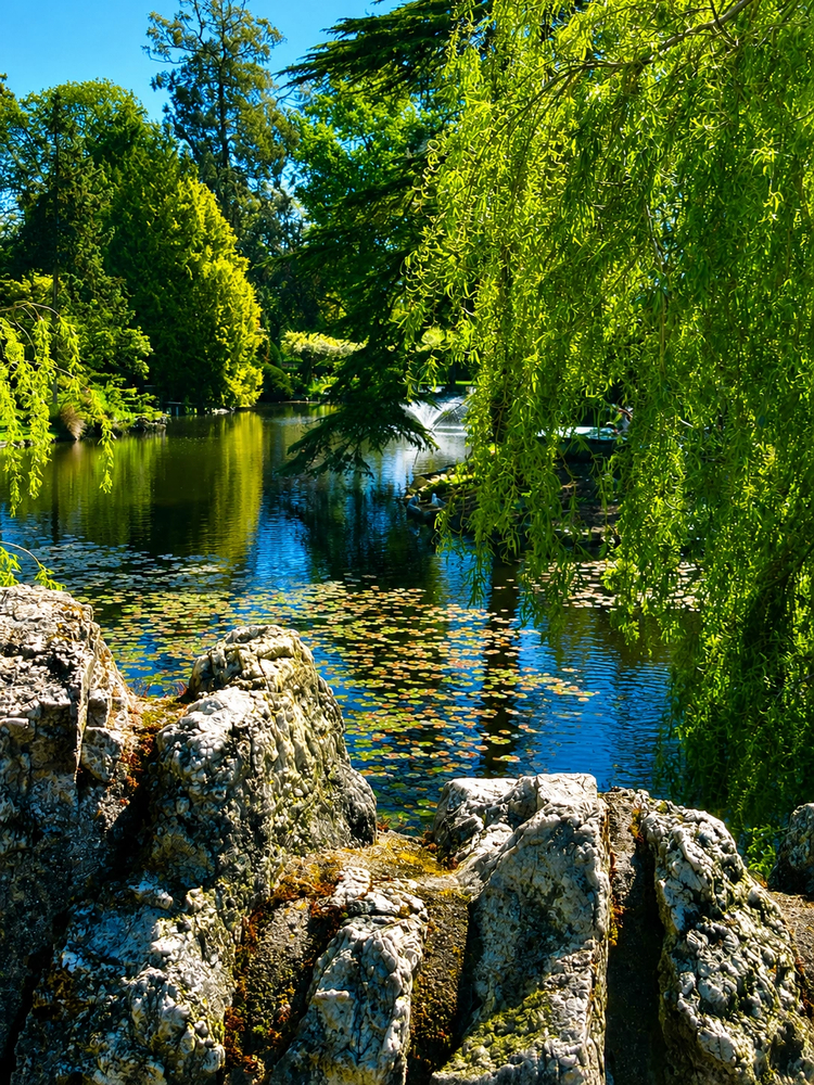 Cover media image