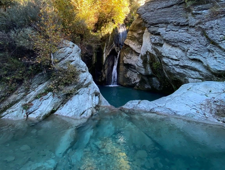 Cover media image