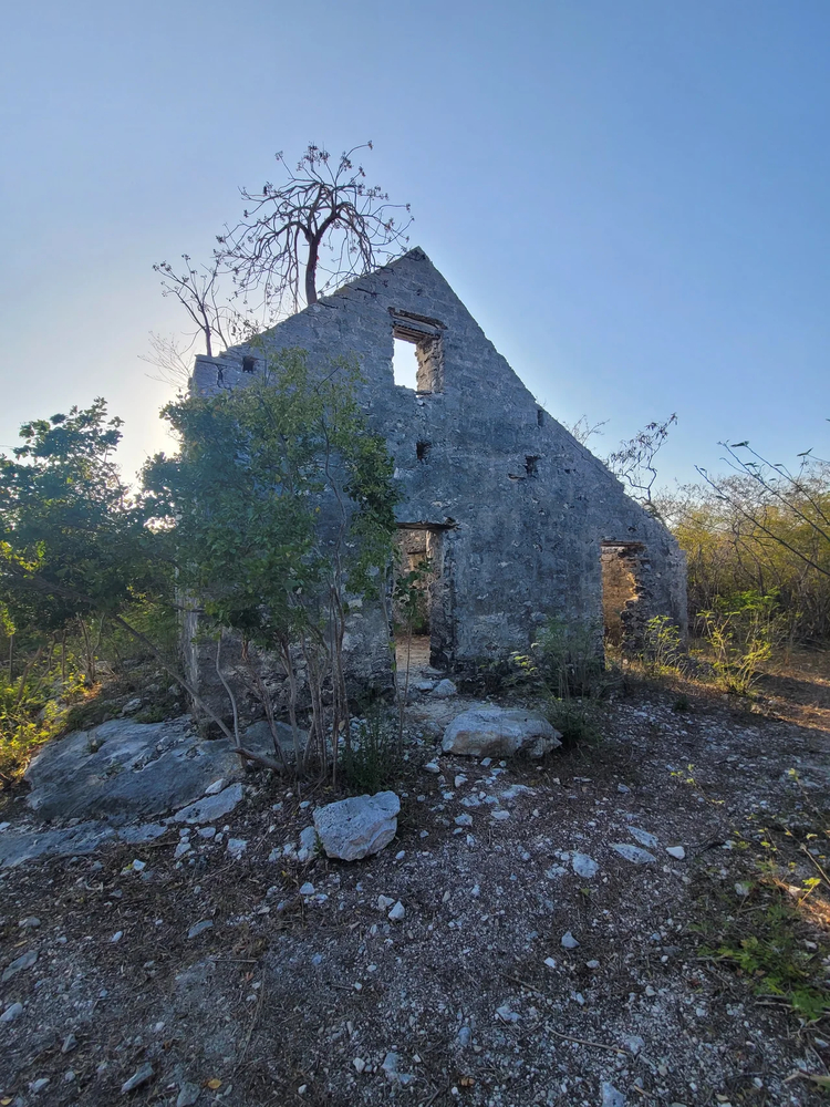 Cover media image