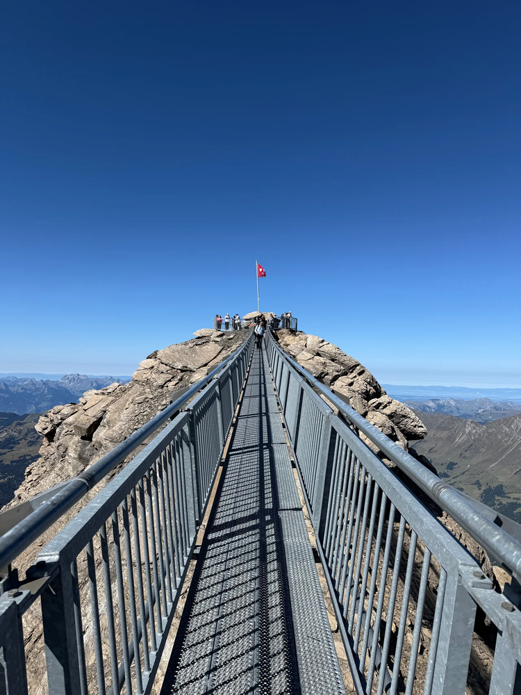 Cover media image