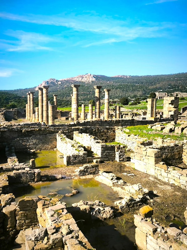 Cover media image