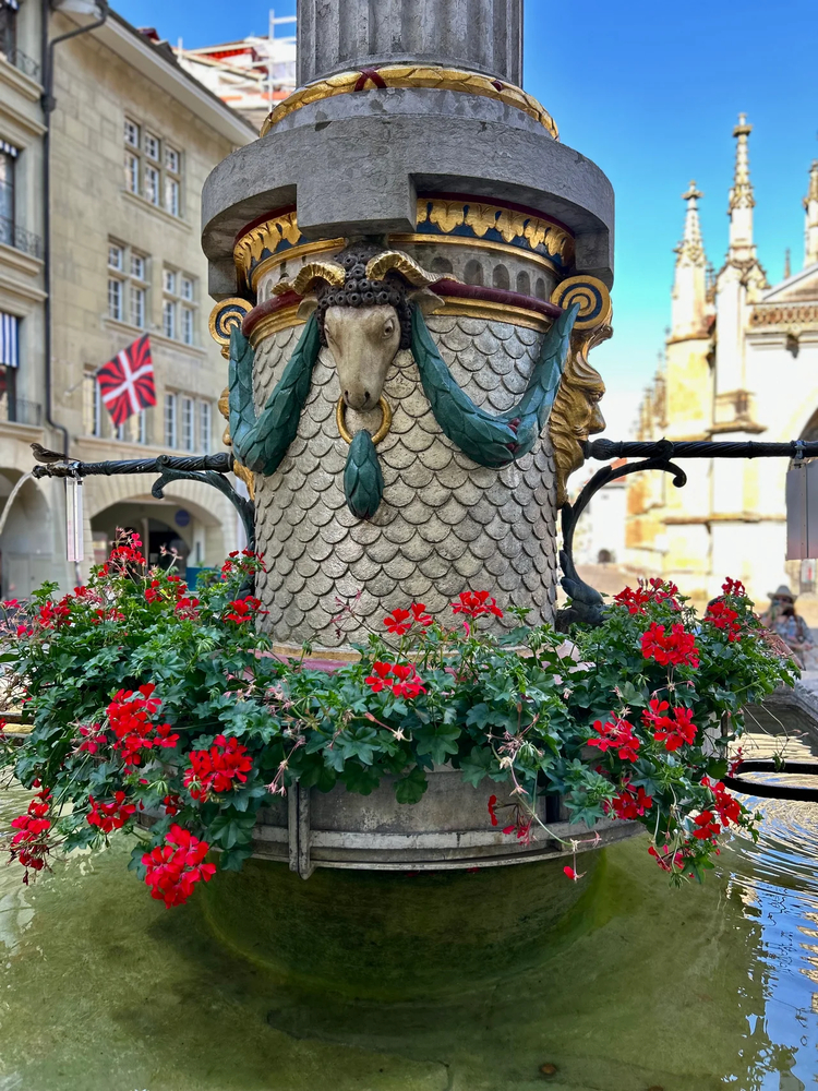 Cover media image