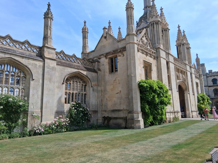 Cover media image