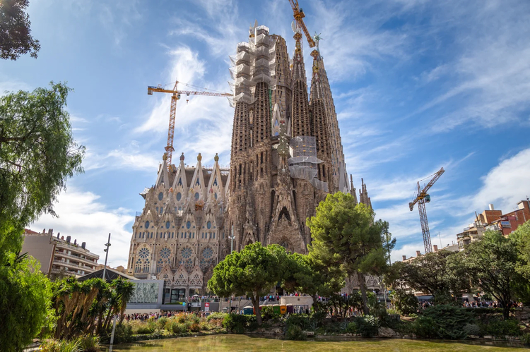 Cover media image