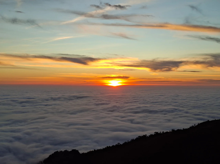 Cover media image