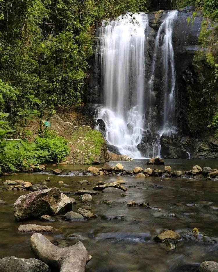 Cover media image