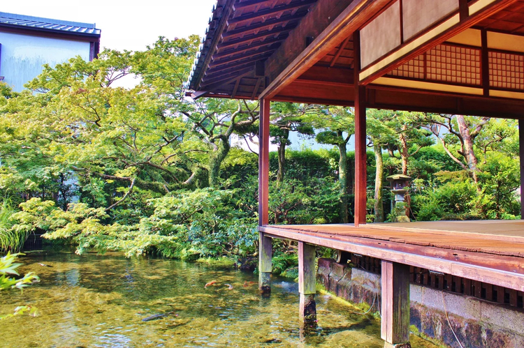 Cover media image