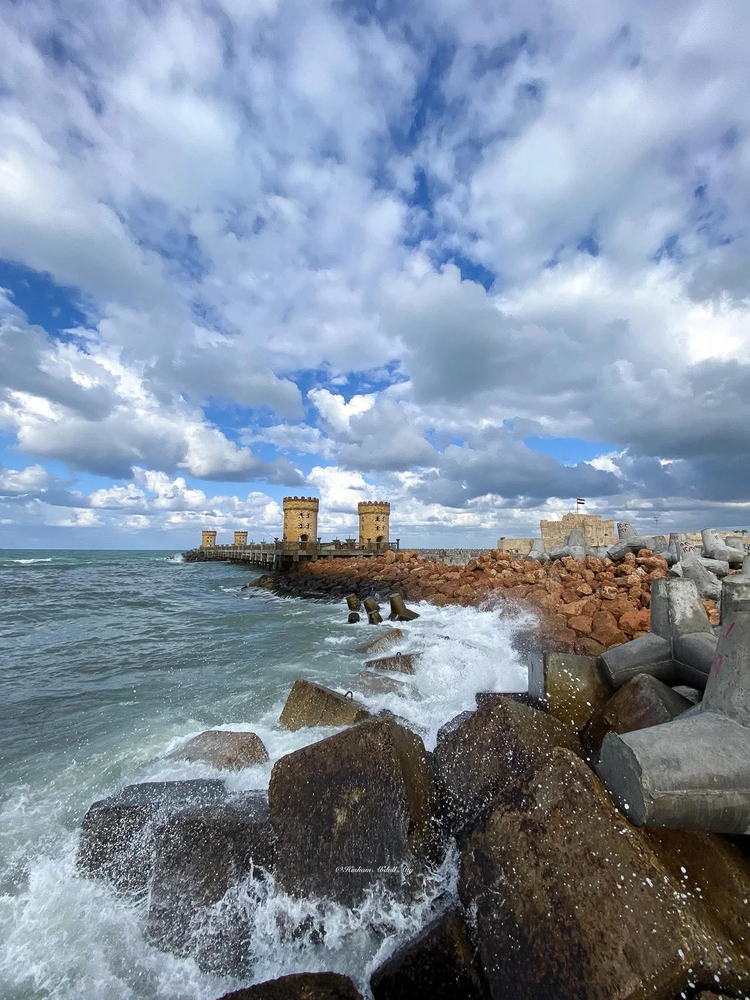 Cover media image