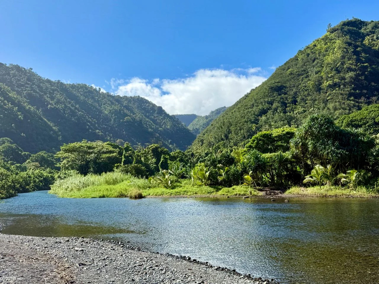 Cover media image