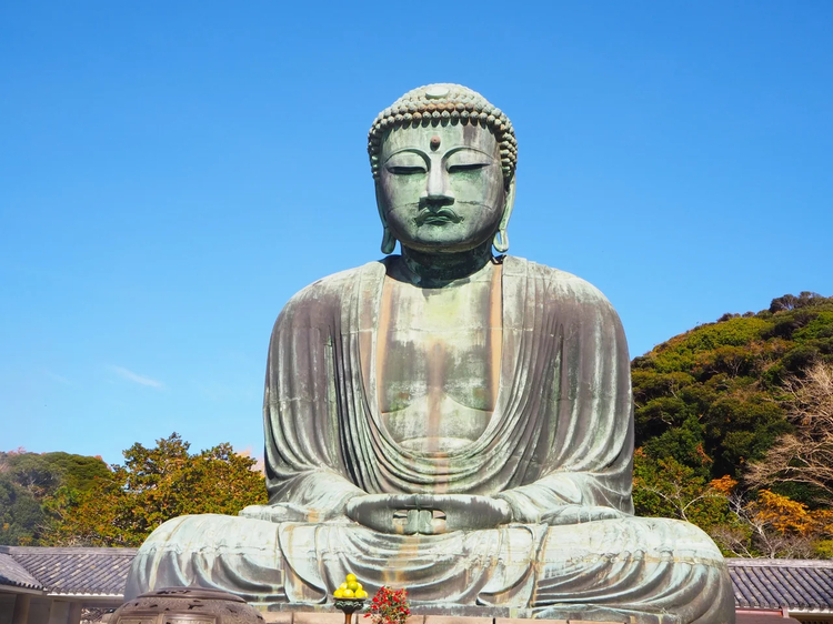 Cover media image