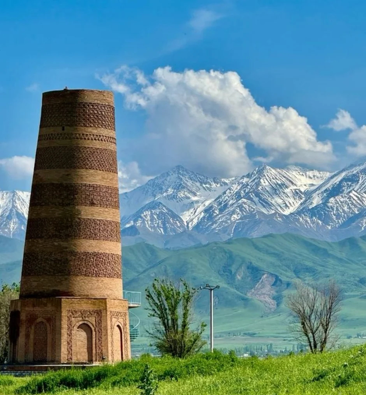 Cover media image