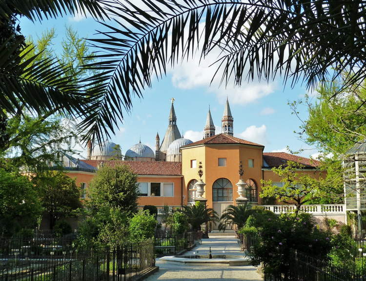 Cover media image