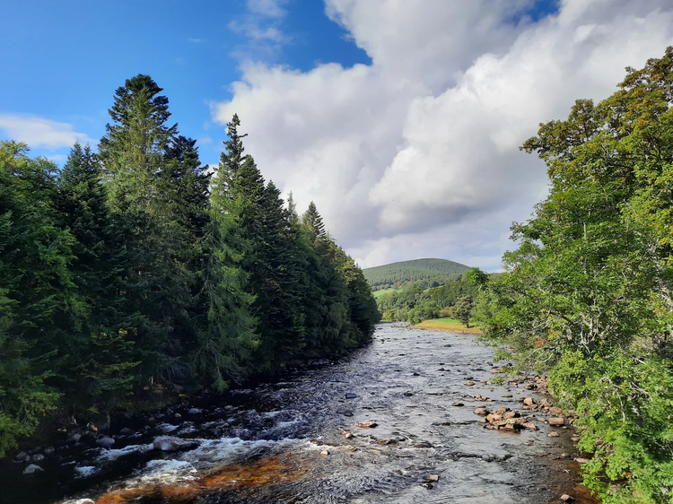 Cover media image