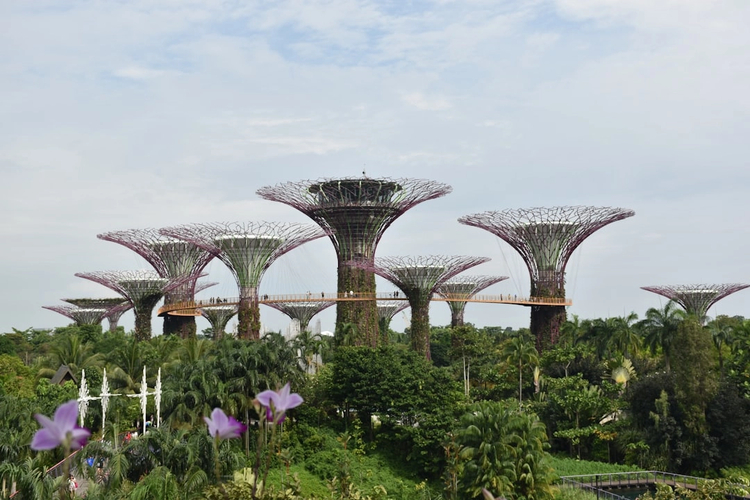 Complete Singapore: Full-Day Walking Tour Through the Neighbourhoods